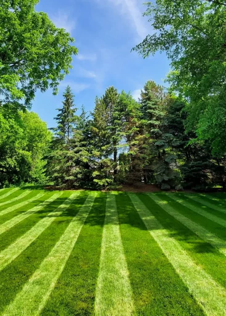 Neat garden bed and edging