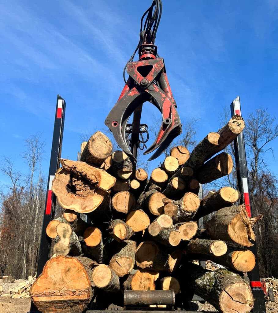 Firewood neatly stacked on site
